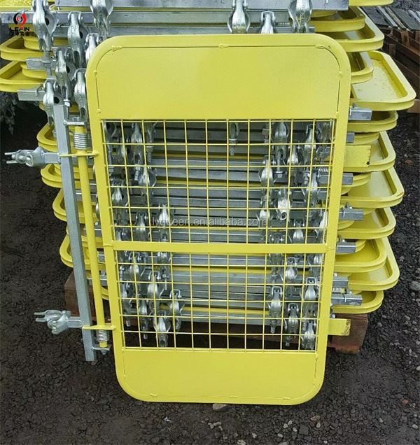 Scaffolding Door